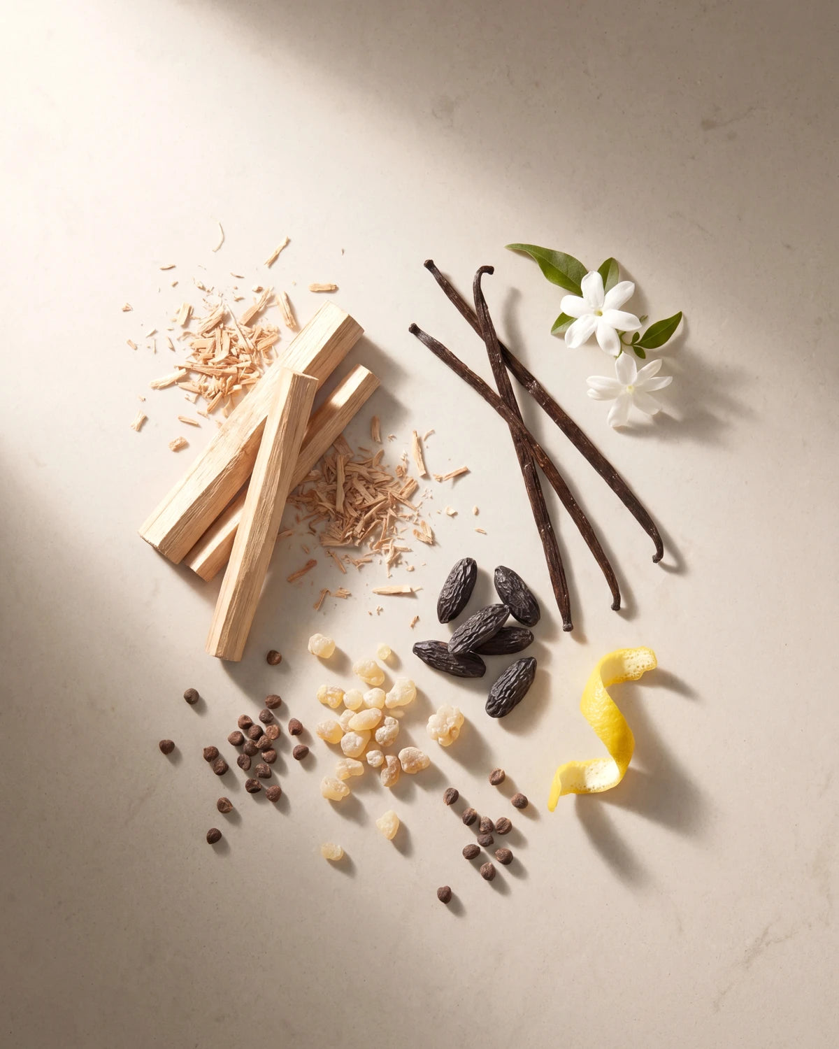 Fragrance notes — a botanical flat-lay of sandalwood, jasmine, and citrus.