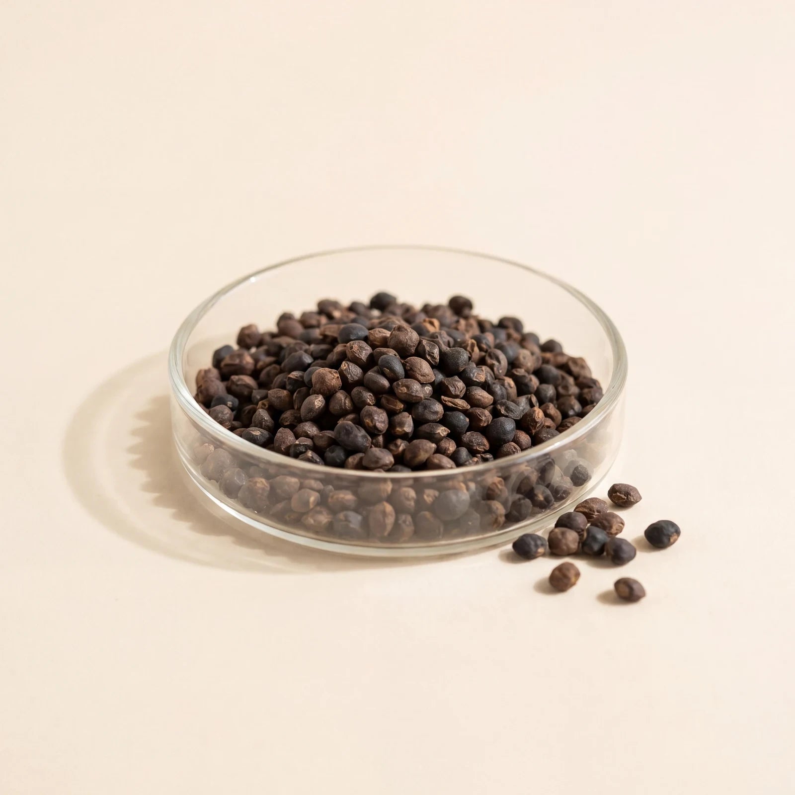 Dried babchi (Psoralea corylifolia) seeds in a glass dish on a cream ground.